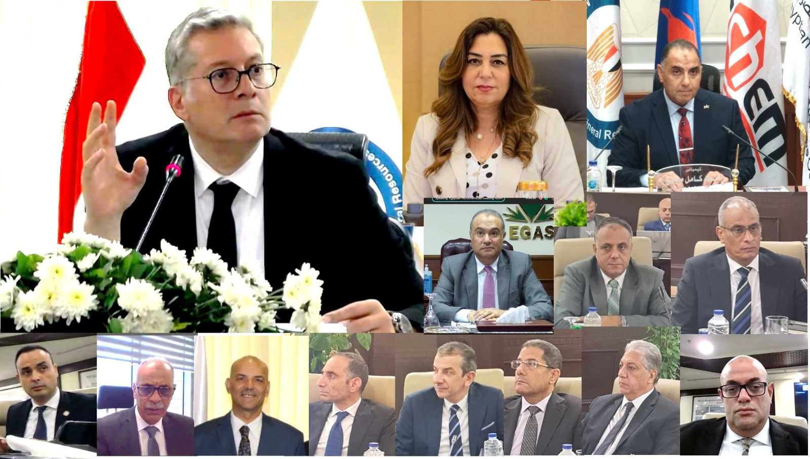 اعتماد نتائج أعمال شركة البتروكيماويات المصرية عن العام المالي ٢٠٢٣/٢٠٢٤